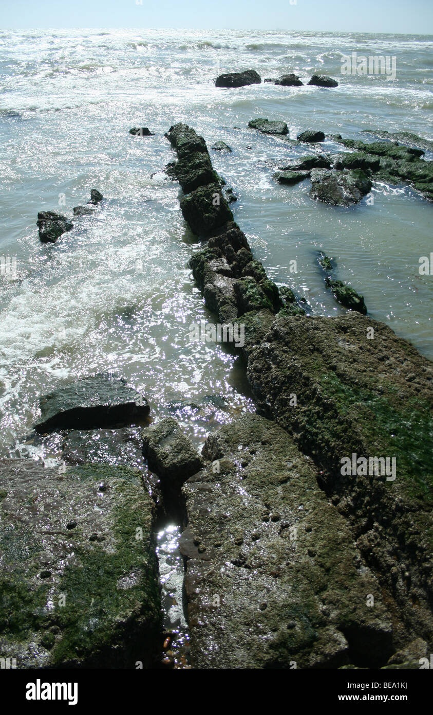 Strati rocciosi e dirigersi verso il mare a Audreselles Francia Foto Stock