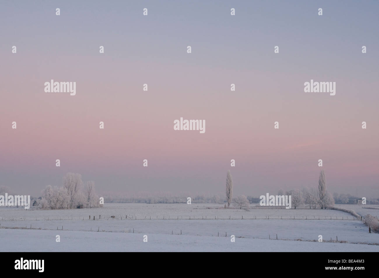 Luce prima sunrize nel gelo binnenveld coperto di Wageningen Foto Stock