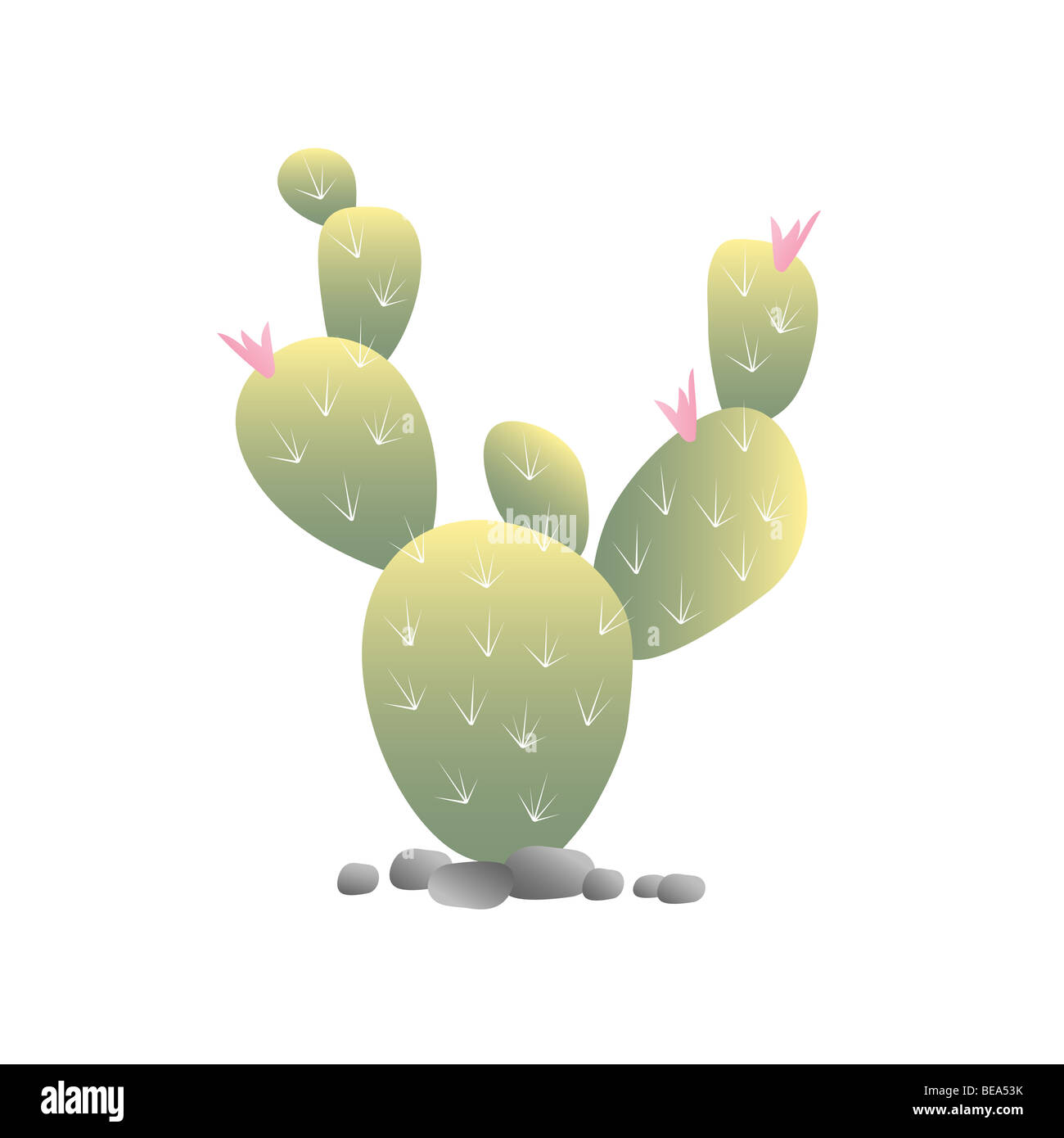 Fiore di Cactus Foto Stock