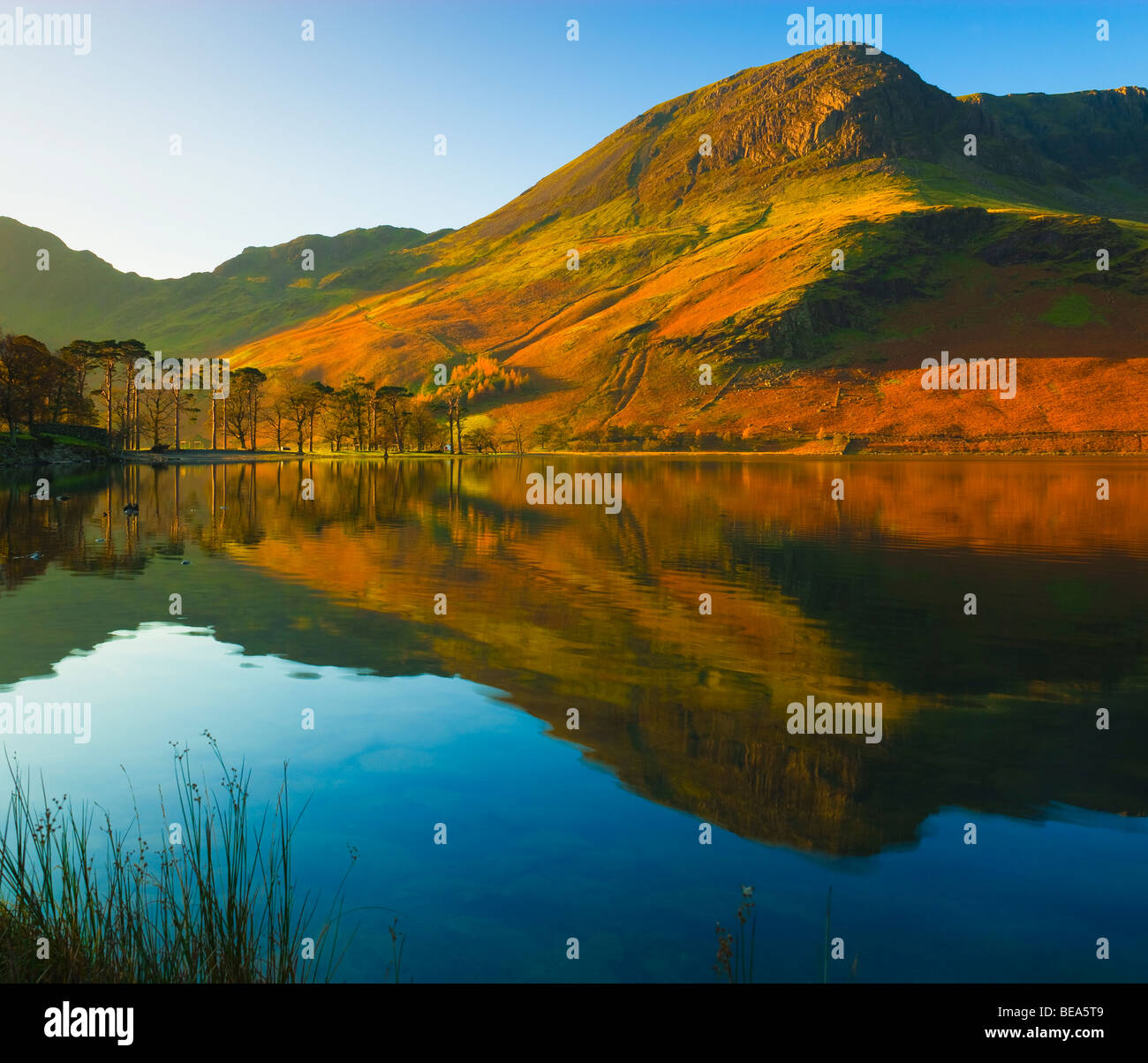 Lago Buttermere Parco Nazionale del Distretto dei Laghi Cumbria Inghilterra England Foto Stock