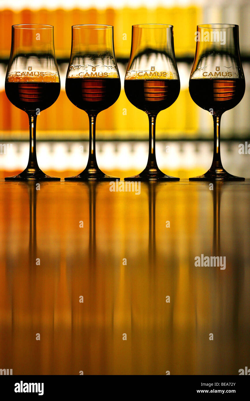 Cognac Camus (brandy francese) Foto Stock