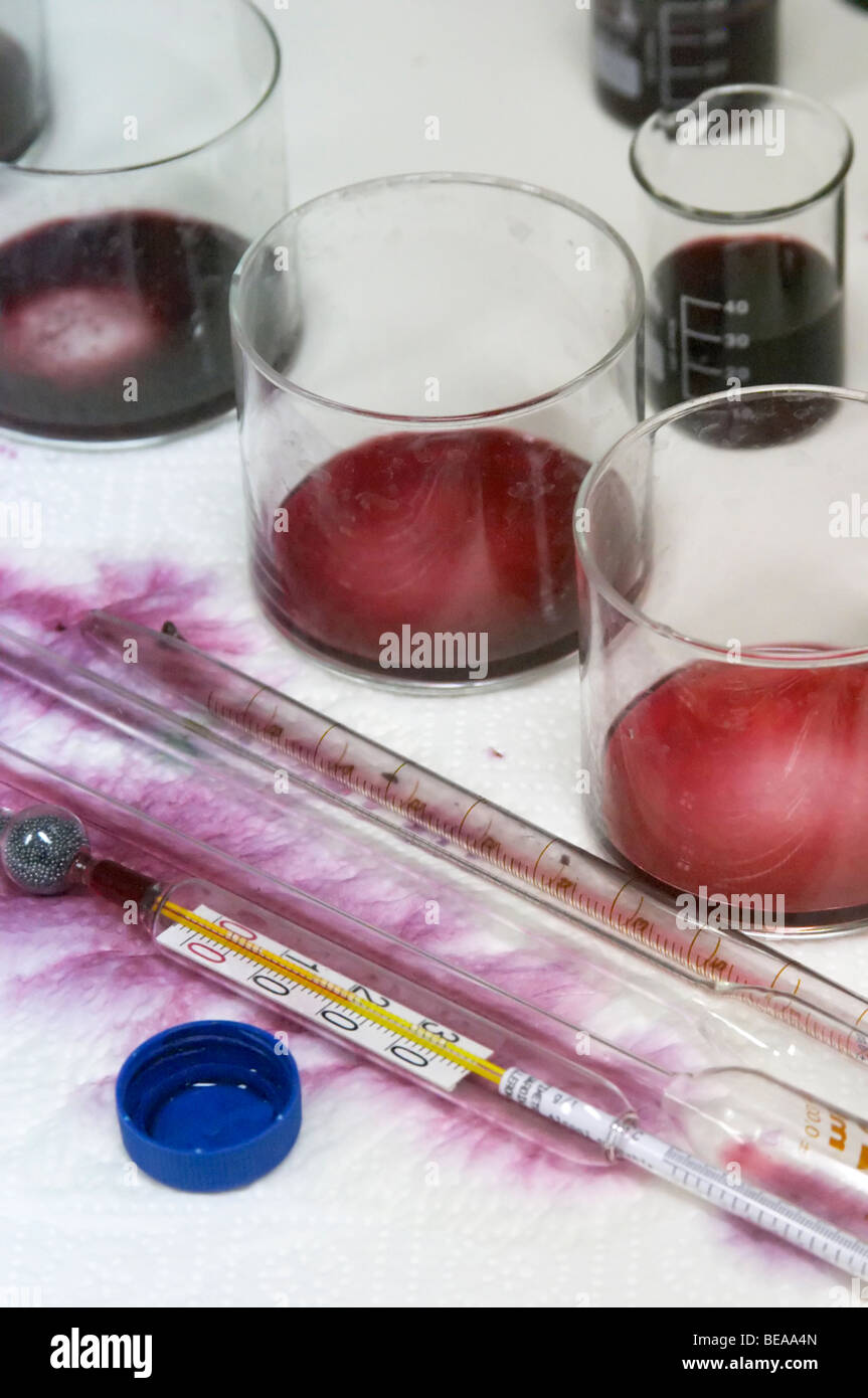 Analisi e il campionamento in cantina herdade da laboratorio da mingorra Alentejo Portogallo Foto Stock