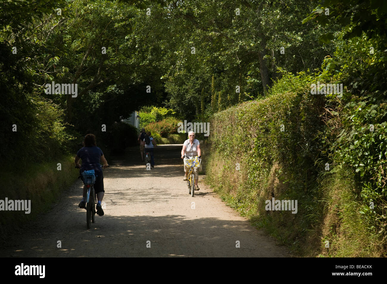 dh SARK SARK ISLAND giro turistico in bicicletta in paese piste strade canale isole in bicicletta Foto Stock