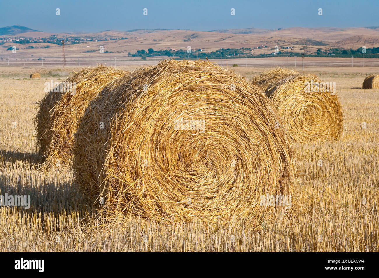 Balla di fieno aperta immagini e fotografie stock ad alta risoluzione