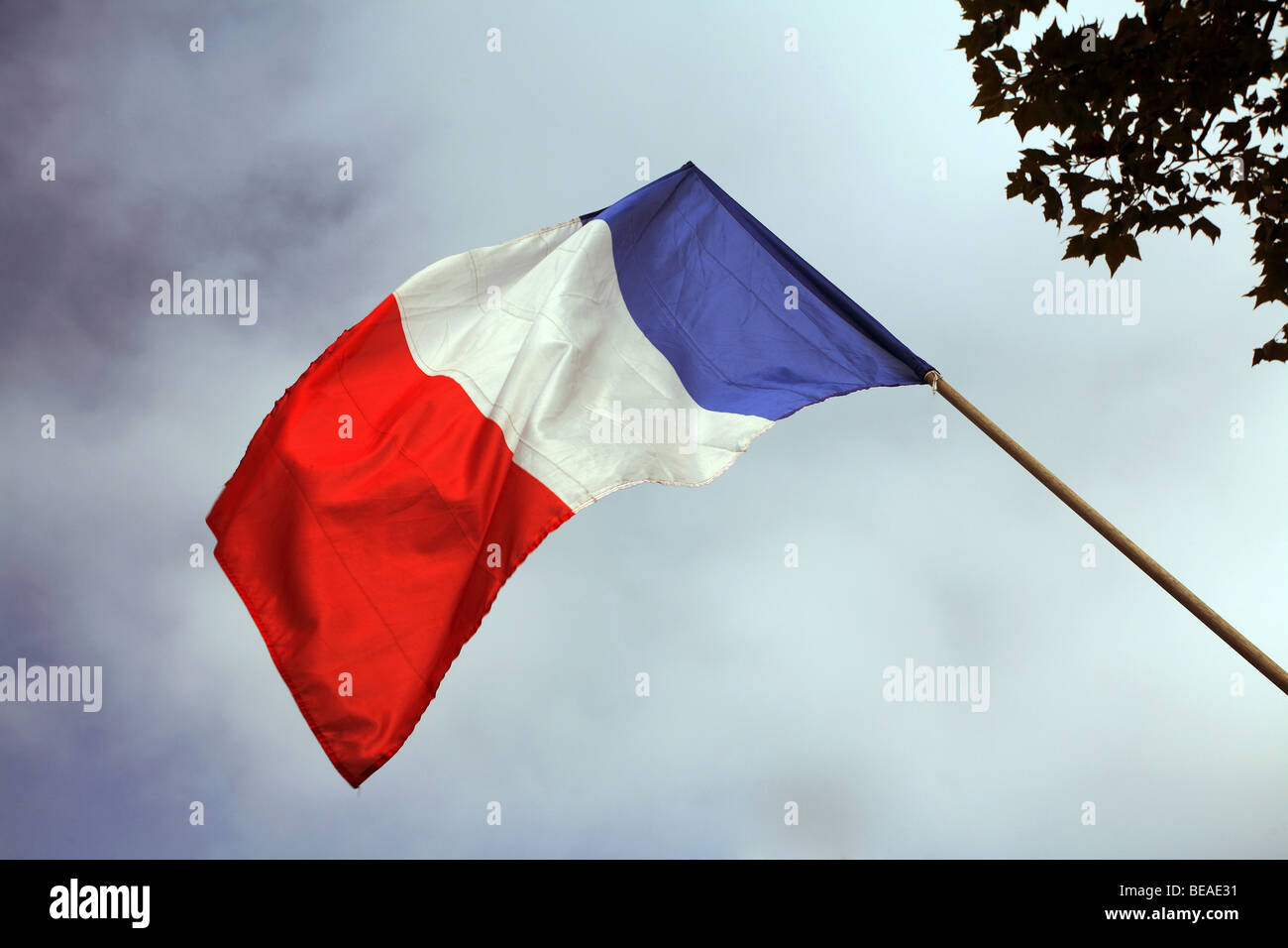 Bandiera della Francia contro il cielo velato Foto Stock