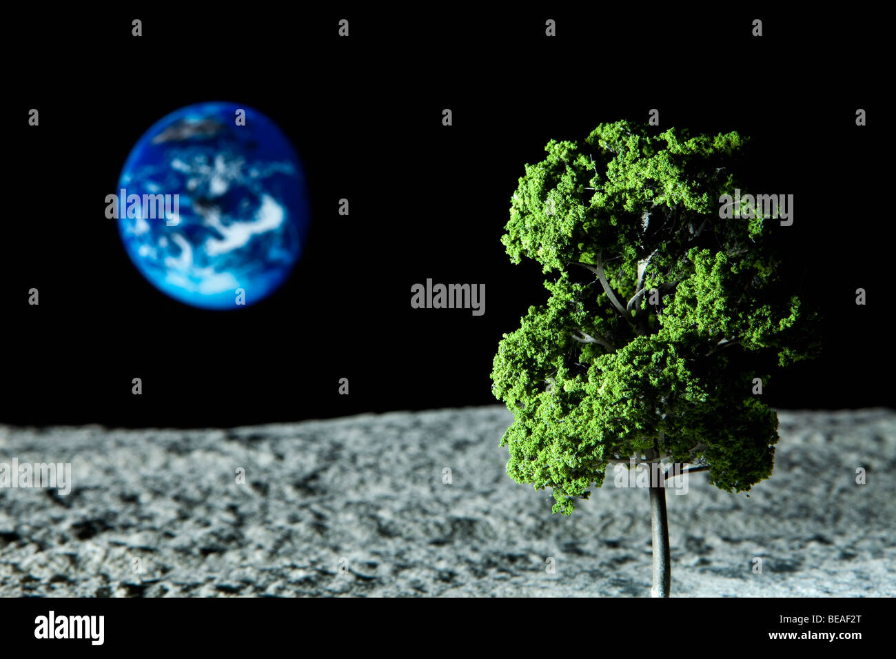 Un albero che cresce sulla luna e del Pianeta Terra in background Foto Stock