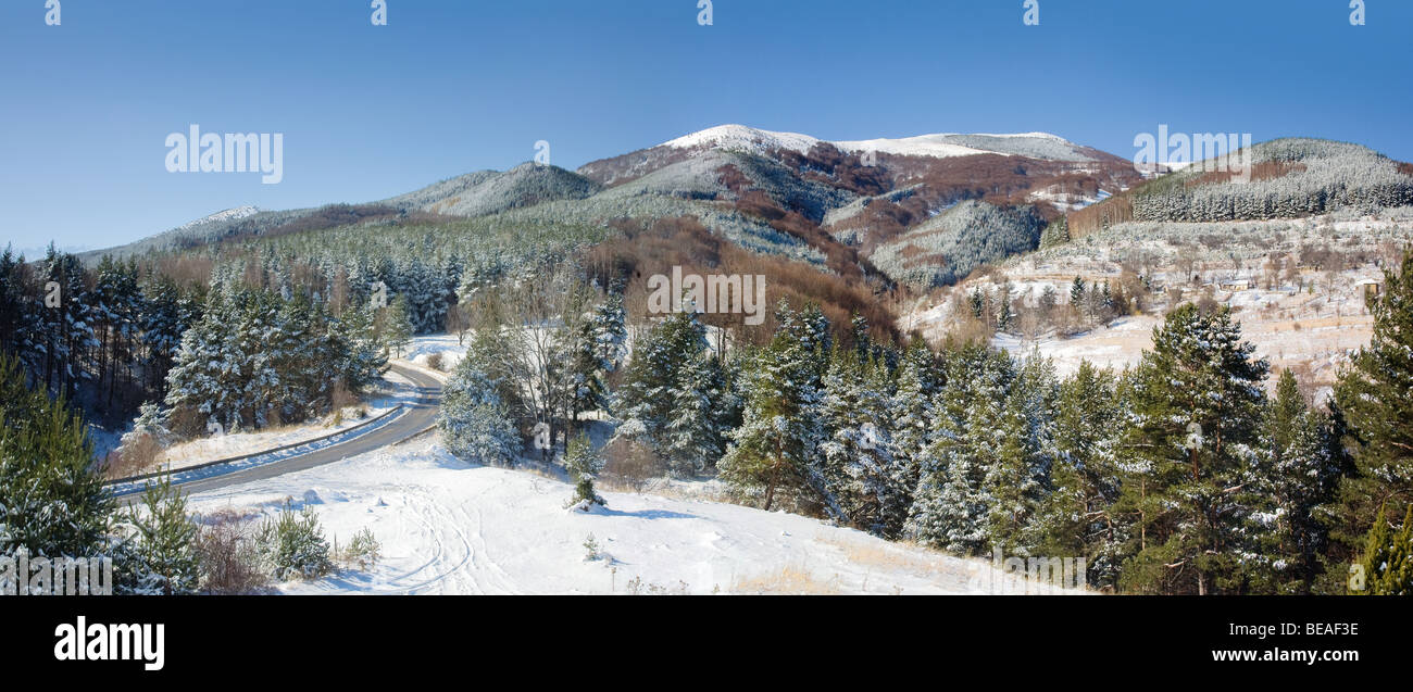 Panorama del paesaggio di montagna Vitosha Foto Stock