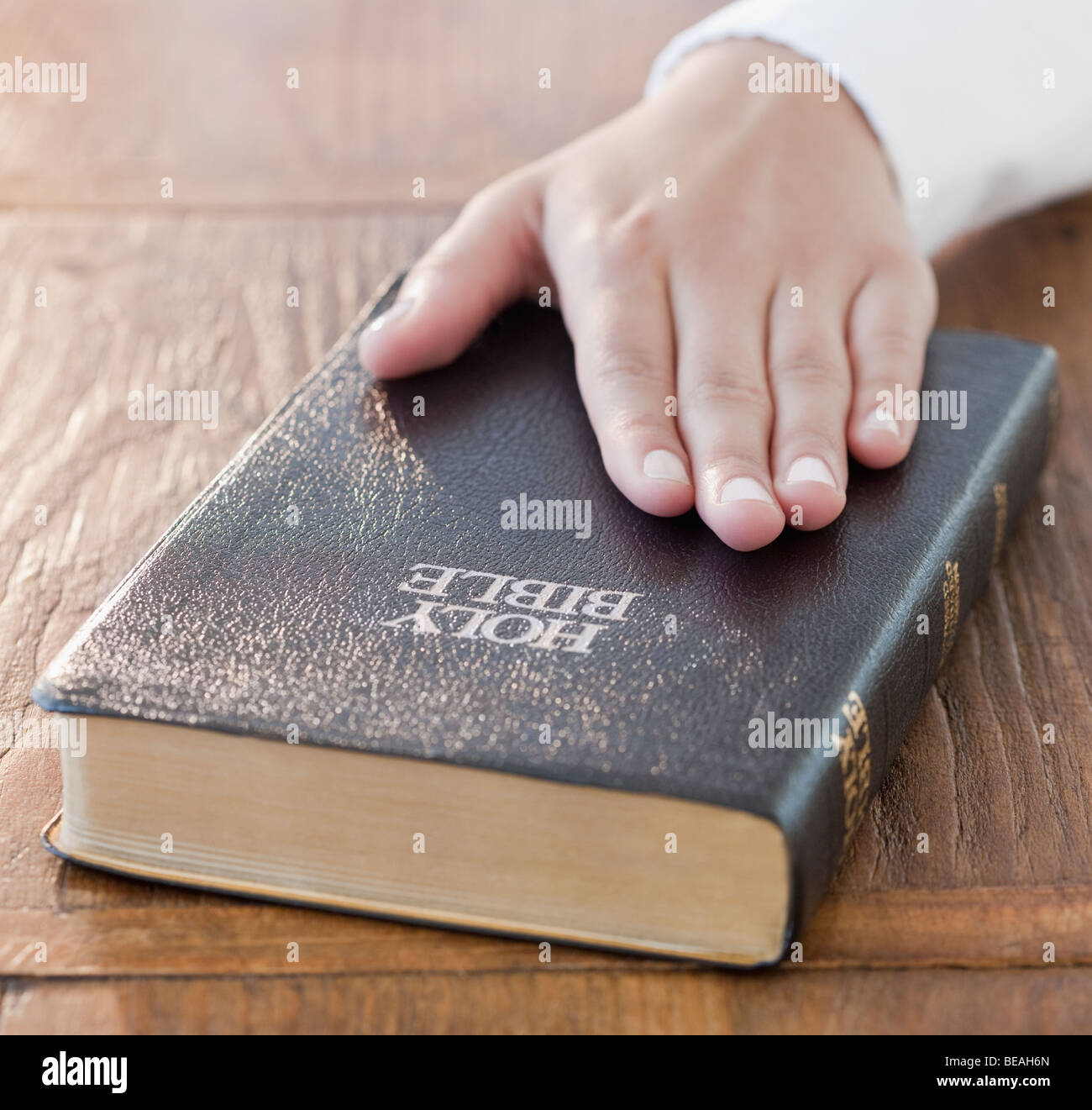 Donna di mano sulla Bibbia Foto Stock