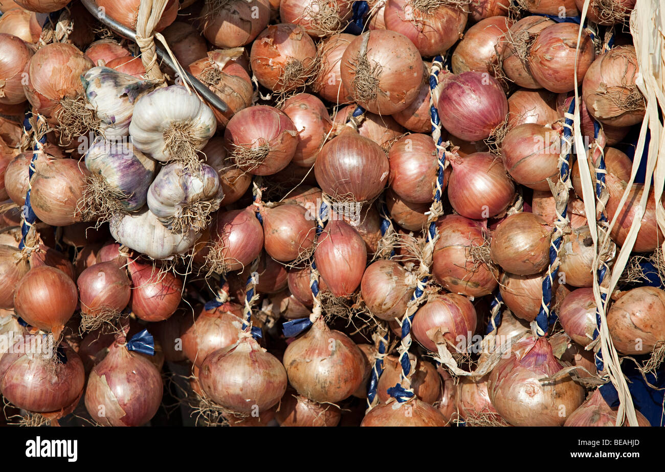 Stringhe di cipolle e spicchi di aglio in vendita a Abergavenny food festival Wales UK Foto Stock