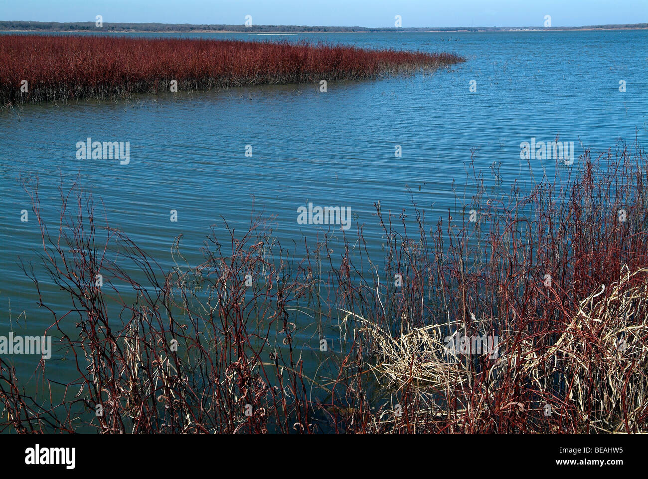 Alba sul lago Texoma in Texas Foto Stock