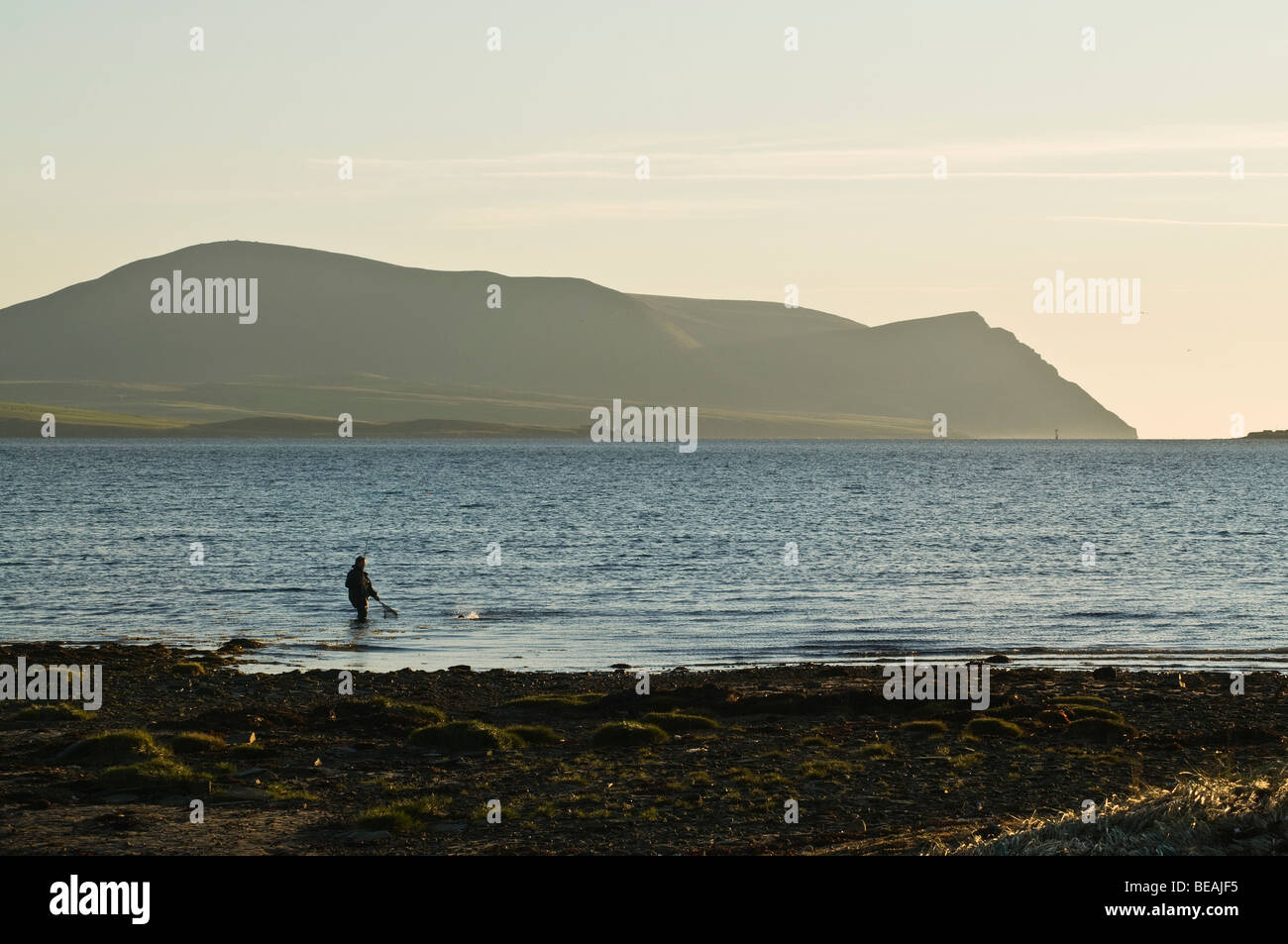 Dh pescatore di pesci di compensazione flusso SCAPA ORKNEY Wading pescatore cattura la pesca off shore sera Hoy colline Foto Stock