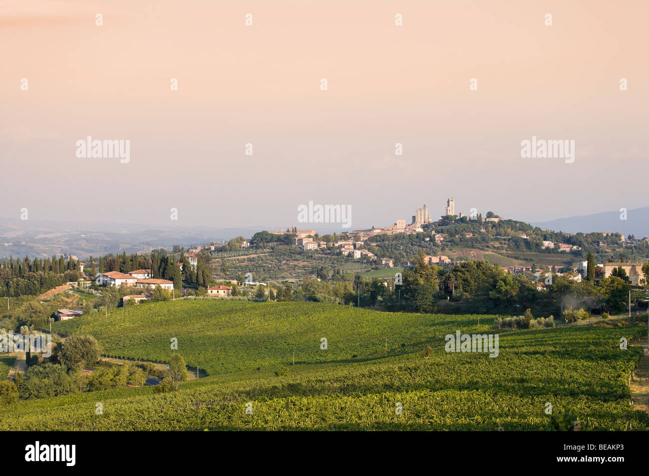 Nel tardo pomeriggio vista della città sulla collina di San Gimignano e i vigneti circostanti, Toscana, Italia Foto Stock