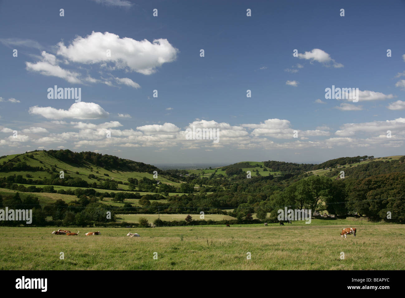 La East Cheshire colline visto dal Macclesfield Road, vicino Harrop Fold Farm, guardando a nord-ovest verso Blaze Hill. Foto Stock