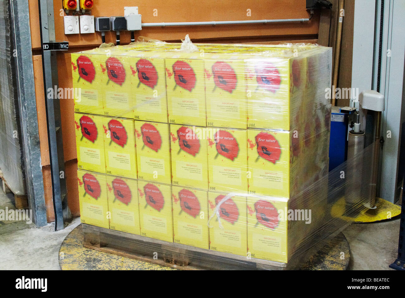 Il bag in box linea di imbottigliamento Cellier des Chartreux Rhone Francia Foto Stock