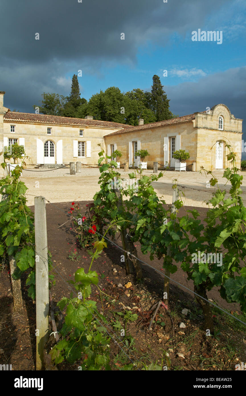 Chateau trottevieille Saint Emilion Bordeaux Francia Foto Stock