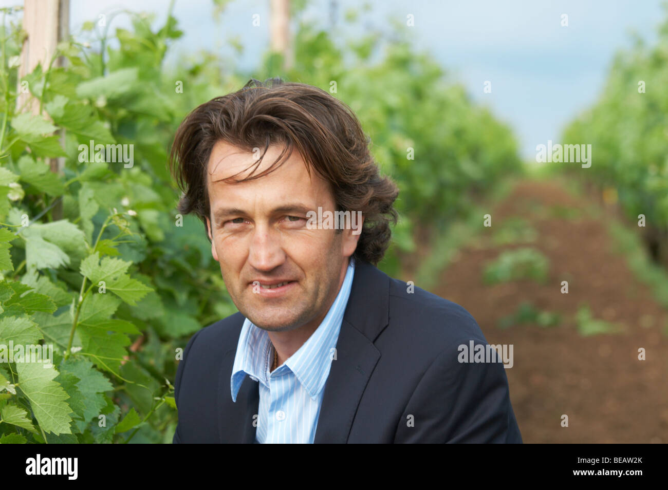 Christophe Dussutour, manager, enologo chateau trottevieille Saint Emilion Bordeaux Francia Foto Stock