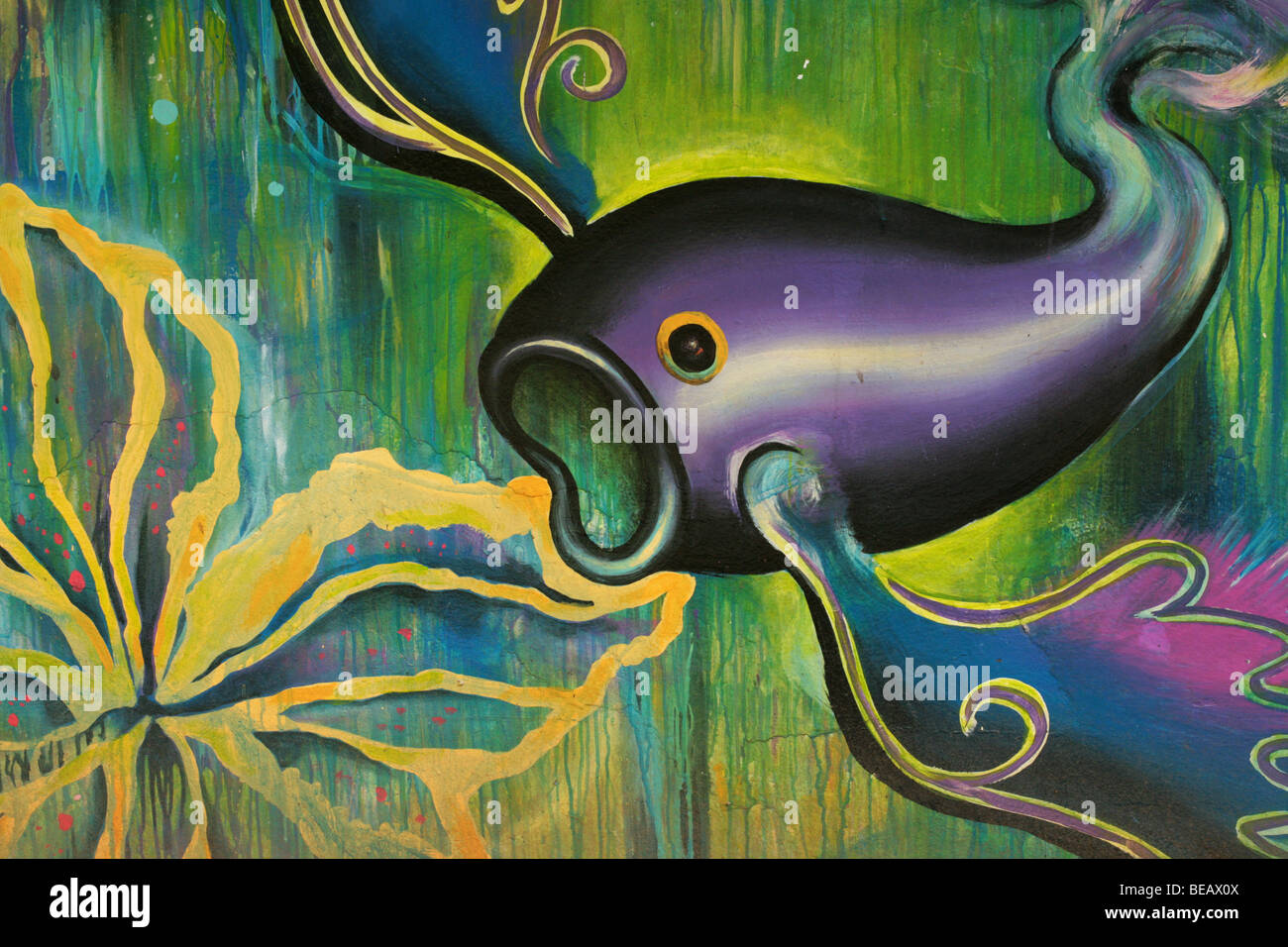 Pesce strano dipinto su una parete del Parco Nazionale di Soberania della Città di Panama. Foto Stock