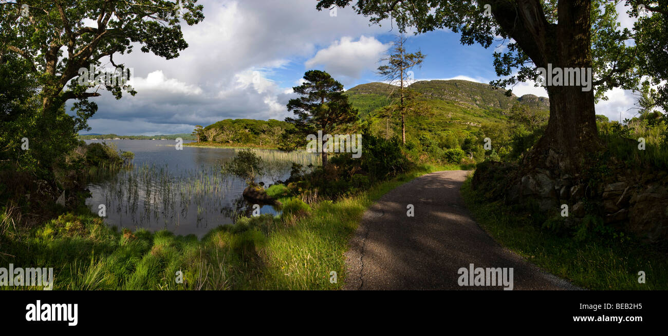 Muckross Lake, Killarney, Co. Kerry, Irlanda Foto Stock