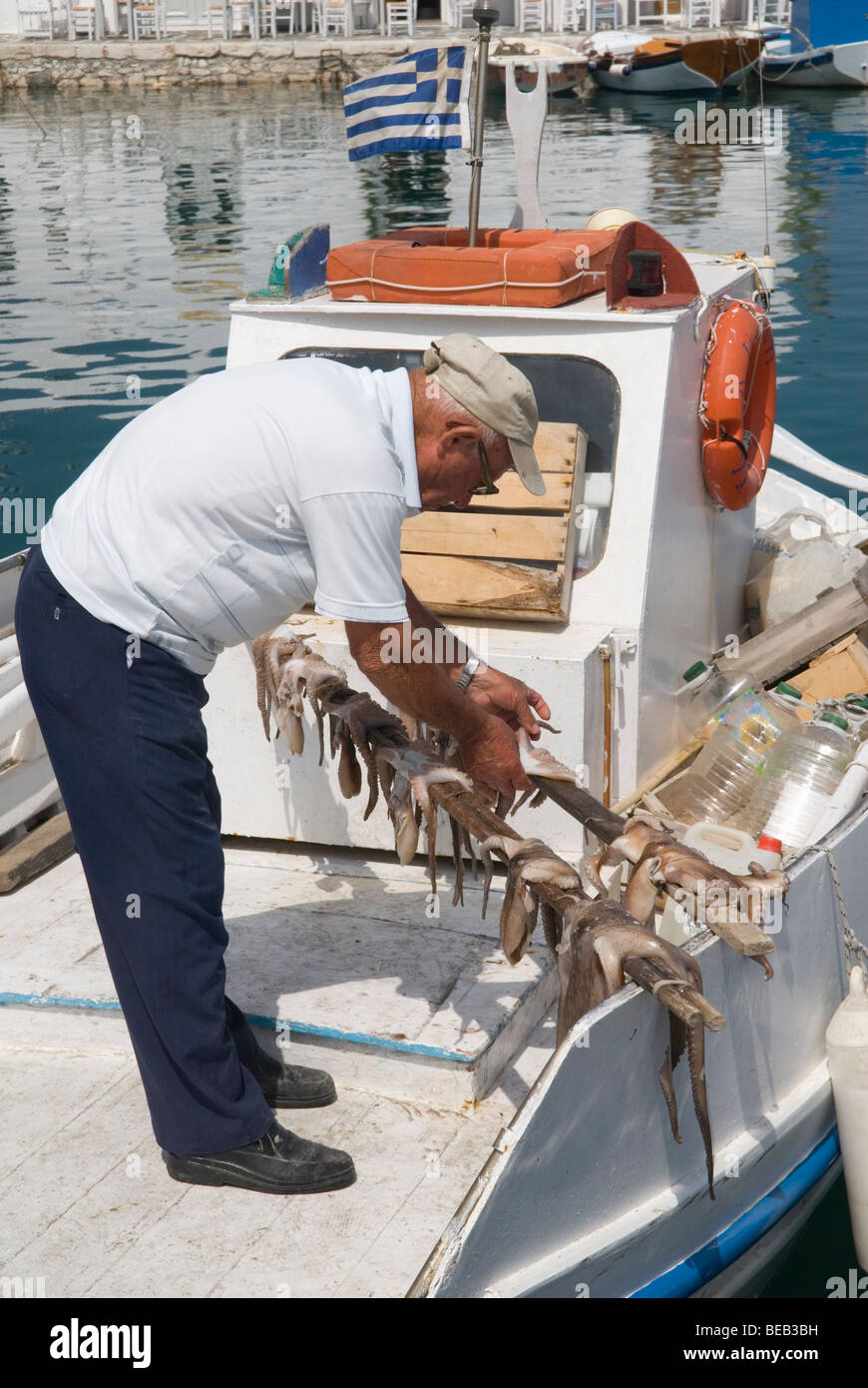Pescatore greco e la sua polipi catch, Paros, Grecia Foto Stock