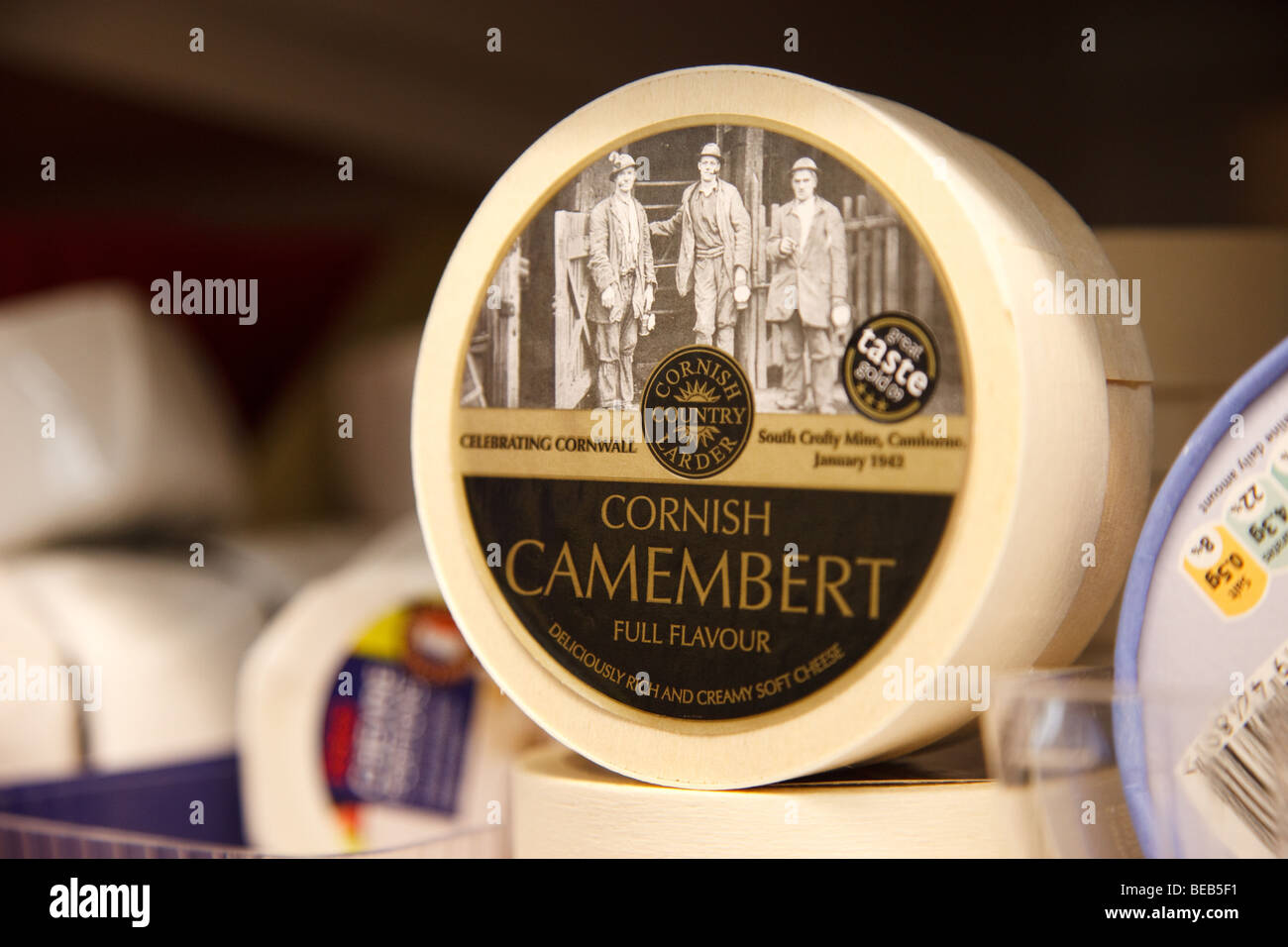 Cornish Camembert Foto Stock