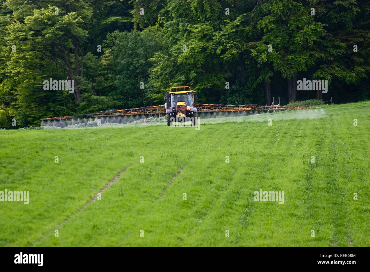 Un JCB Fastrac trattore e spruzzatore del cavaliere, spruzzatura erbicida su orzo primaverile . I prodotti chimici sono presite SX50g/Ha Difarnon R 1 Foto Stock