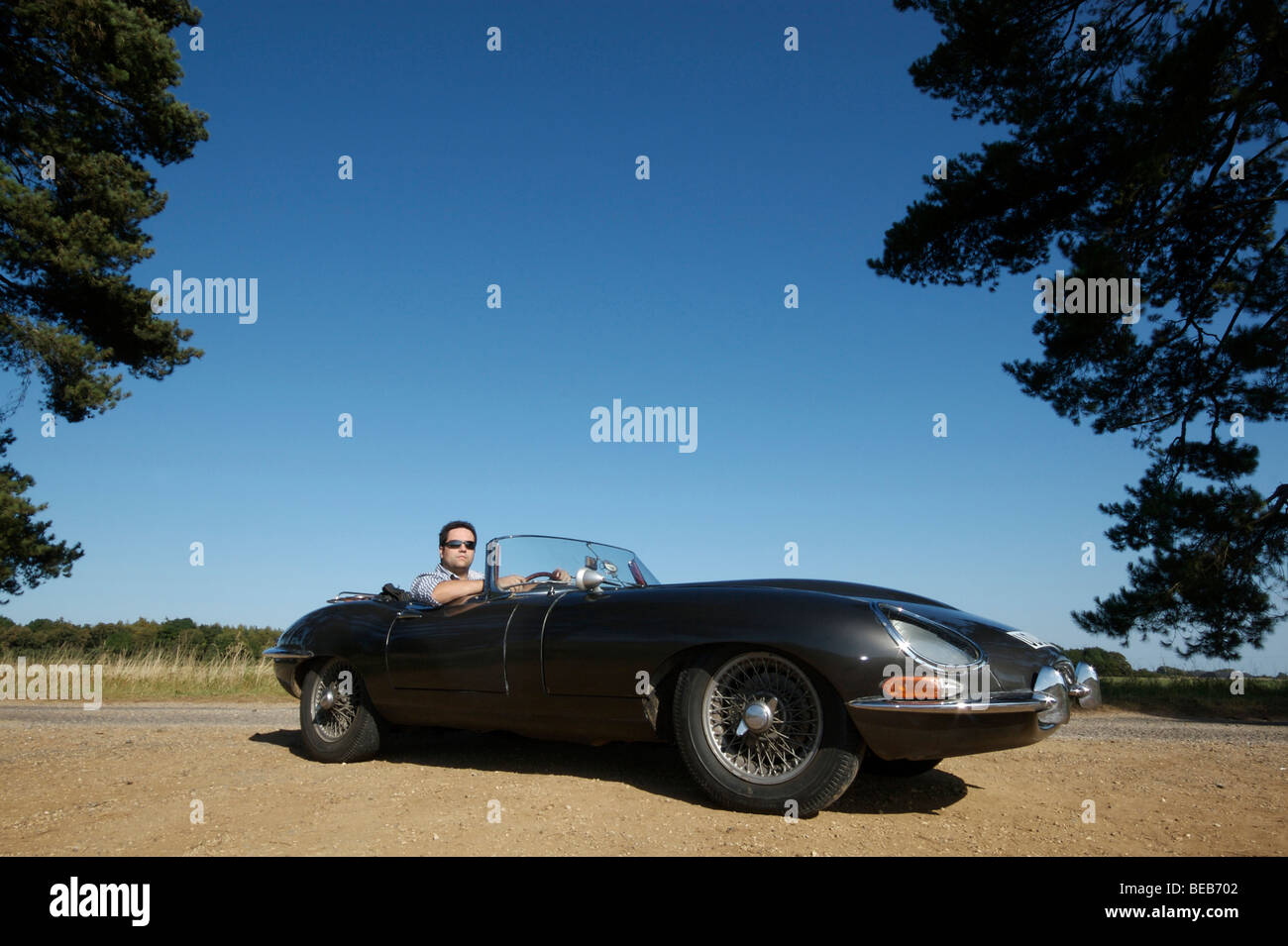 Uomo alla guida convertibili e type Jaguar Foto Stock