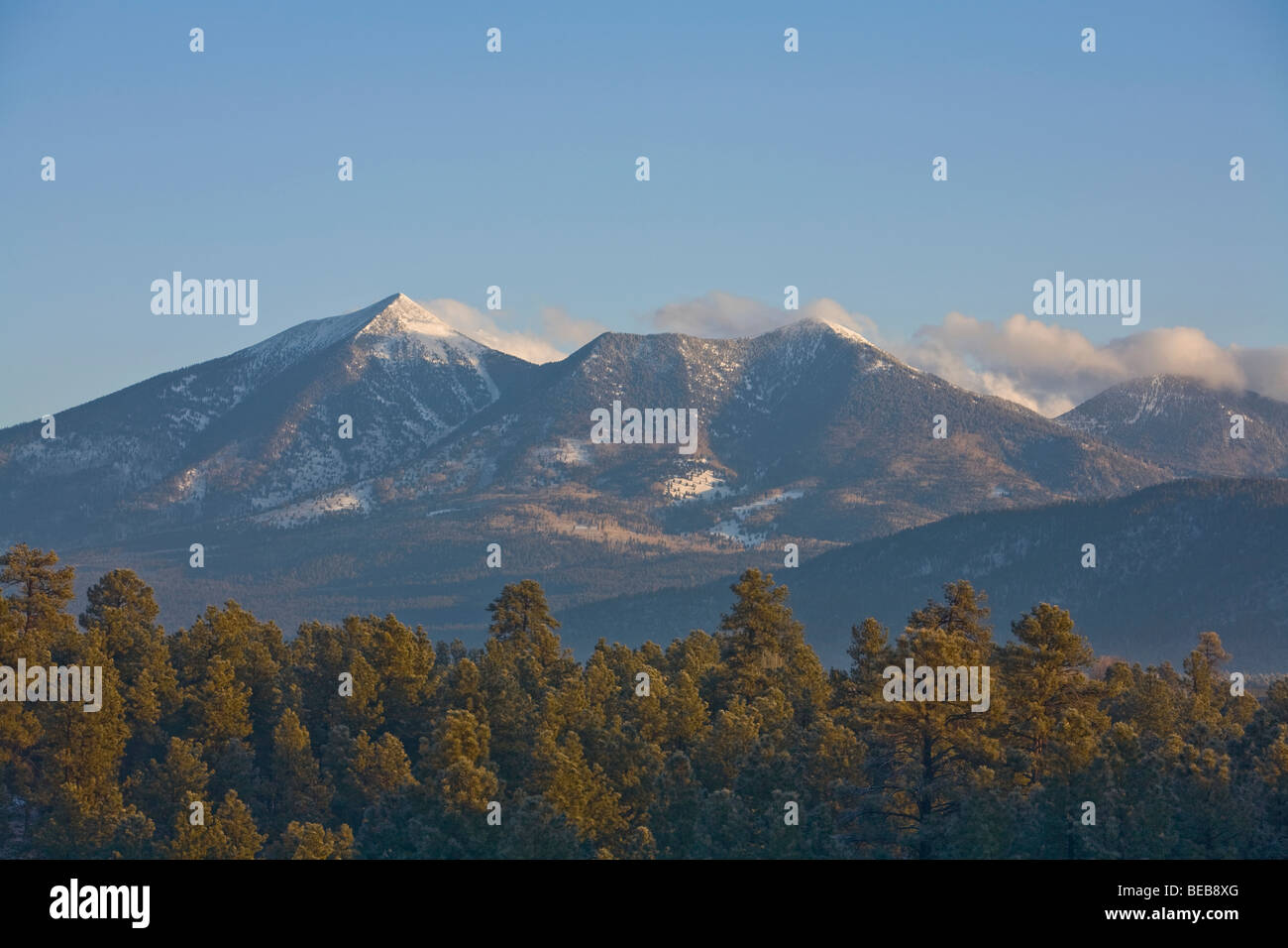 San Francisco Peaks in inverno mattina, visto da NAU campus, Flagstaff, in Arizona, Stati Uniti d'America Foto Stock