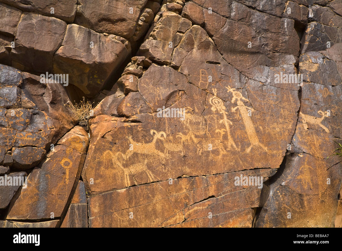 Little Petroglyph Canyon nel coso Rock Art District, Cina lago Naval Air stazione delle armi, Deserto Mojave Ridgecrest, California Foto Stock