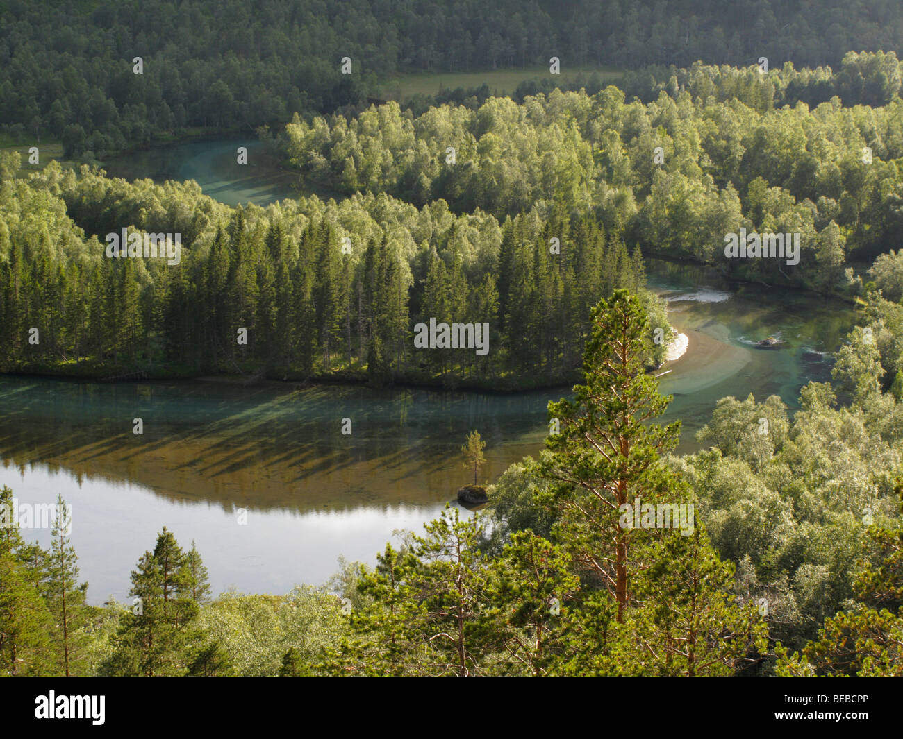 Rago national park, Norvegia. una vista sul fondovalle con storskogselva river Foto Stock