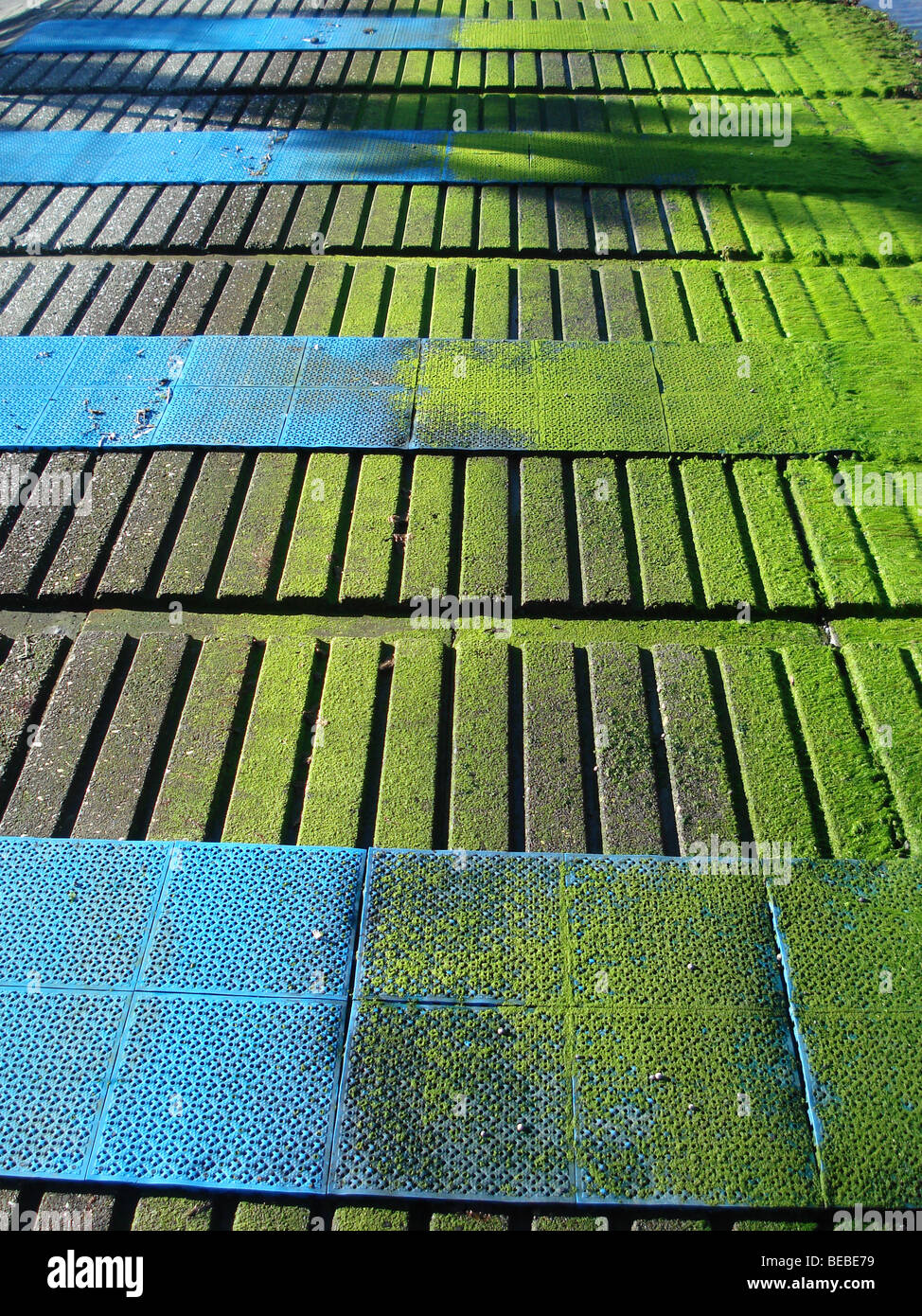 Configurazione astratta di vibrant blue e verde, questa è una sorta di scivolo per barche, lungomare di Wellington, Nuova Zelanda Foto Stock