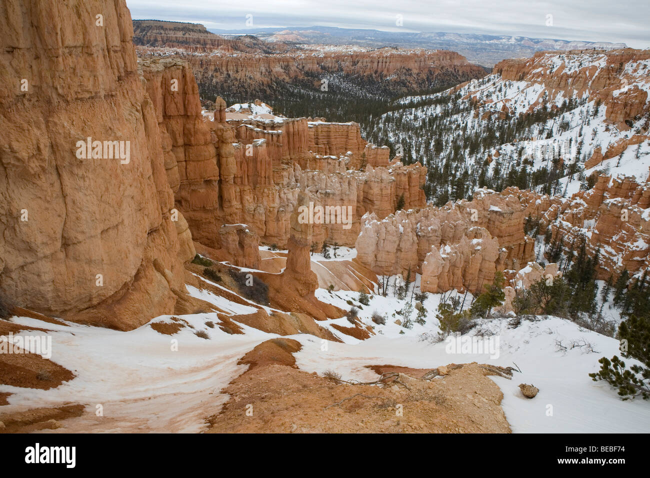 Bryce Canyon in inverno Foto Stock