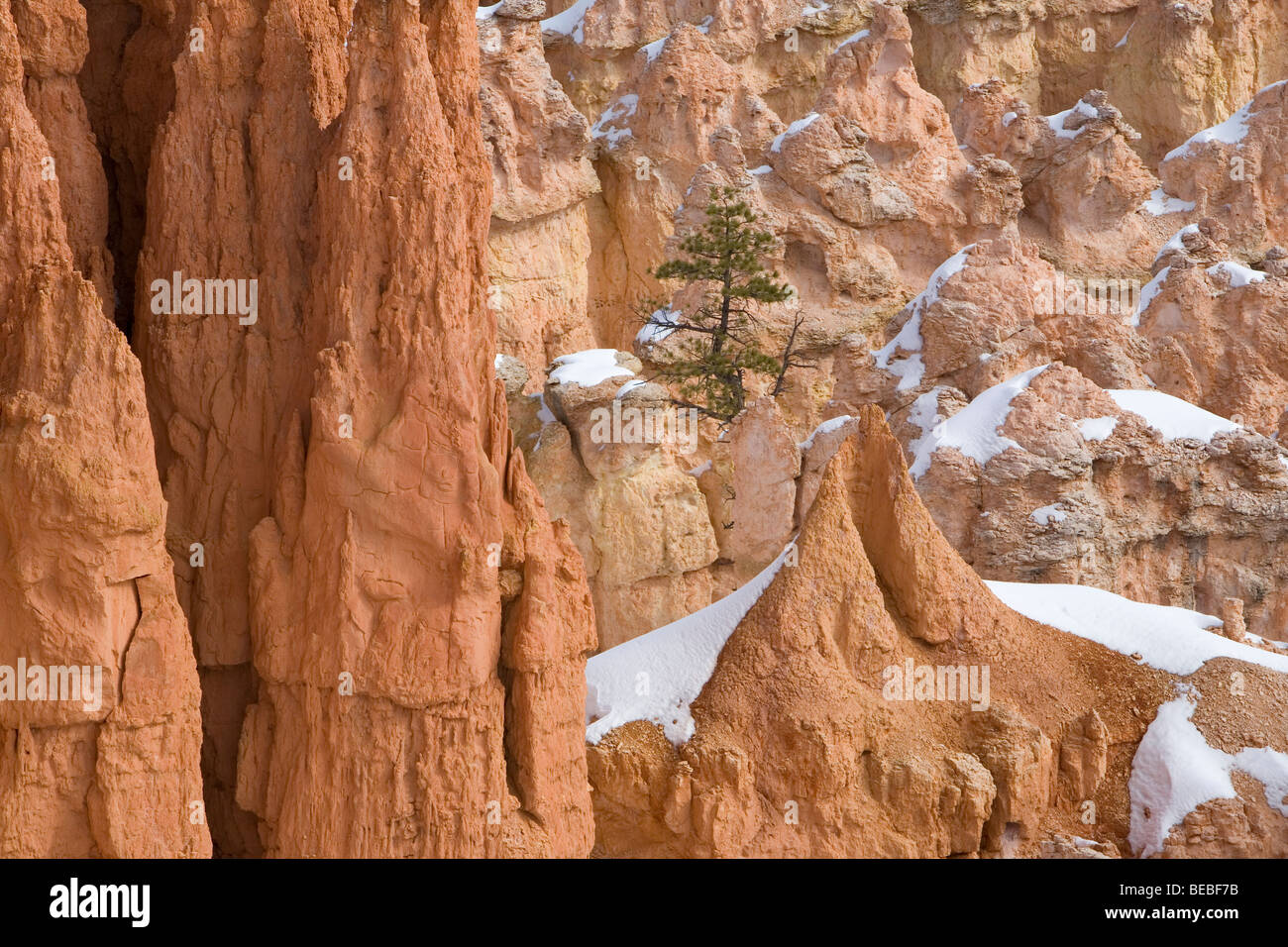 Bryce Canyon in inverno Foto Stock