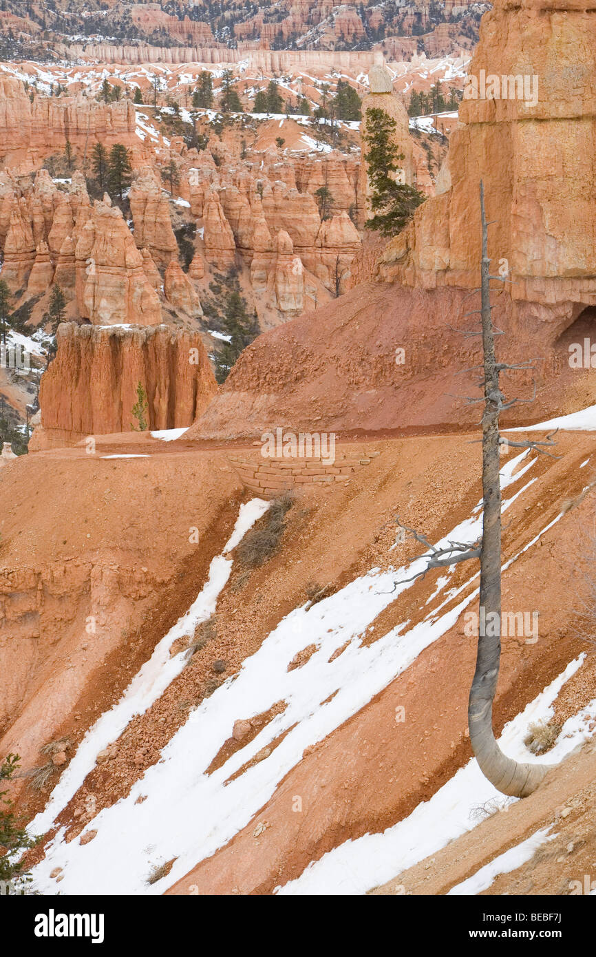 Bryce Canyon in inverno Foto Stock