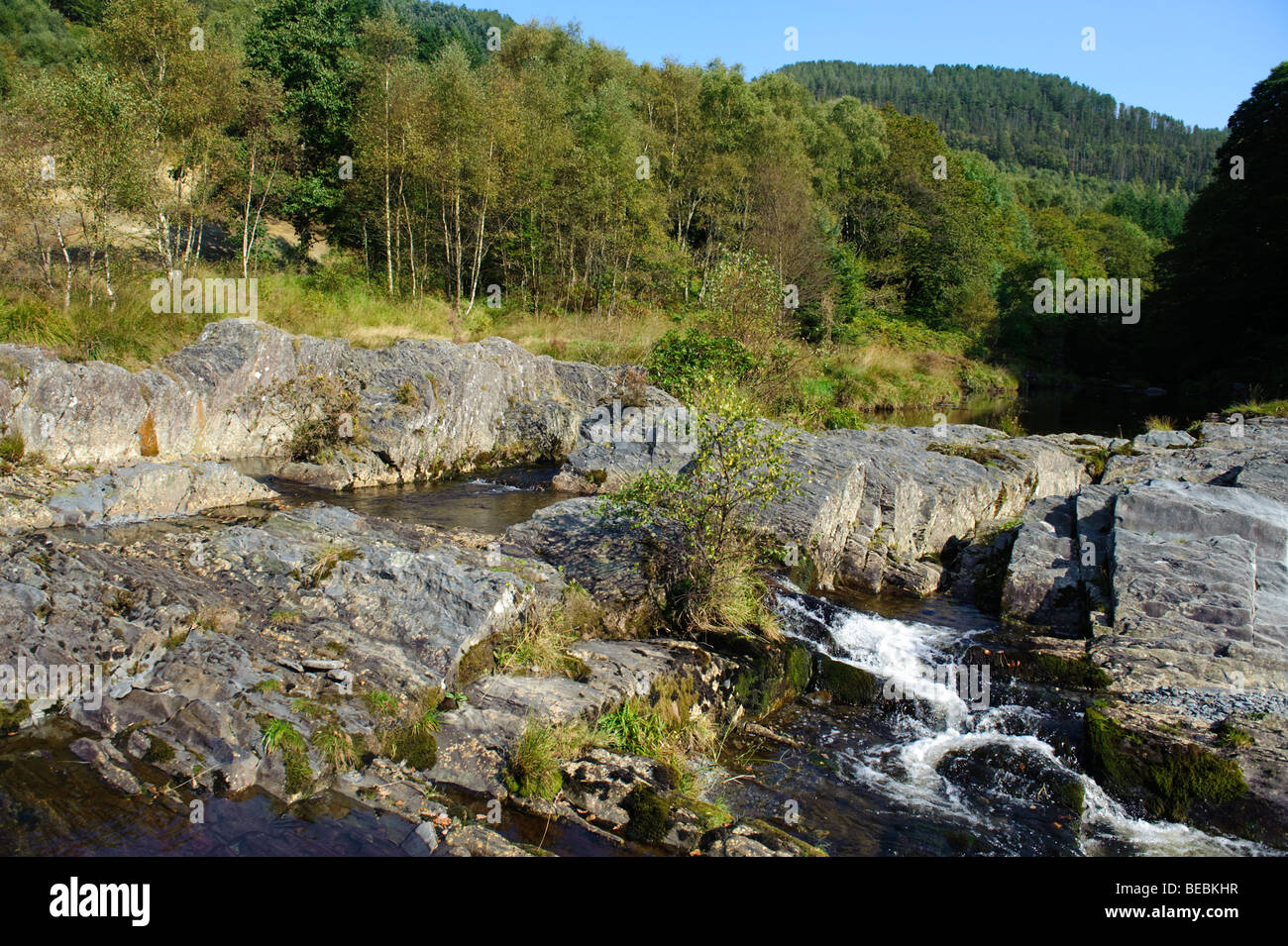 Cascate sul fiume Rheidol, Ceredigion il Galles centrale, pomeriggio autunnale, REGNO UNITO Foto Stock