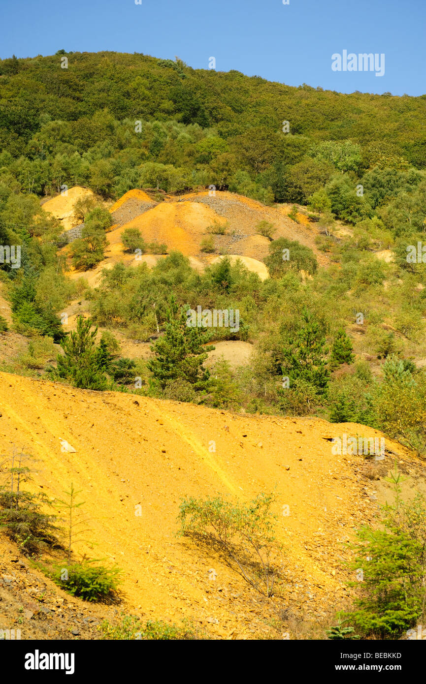 Ocra Gialla colorate rifiuti tossici bottino dal vecchio piombo di zinco mine essendo lentamente recuperato da piante e vegetazione, mid Wales UK Foto Stock
