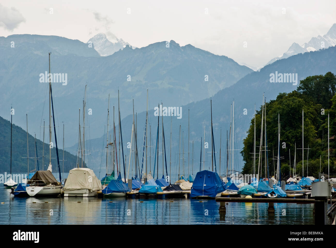 Il lago di Thun nella città svizzera di Thun. Montagne delle Alpi. Thunersee Foto Stock