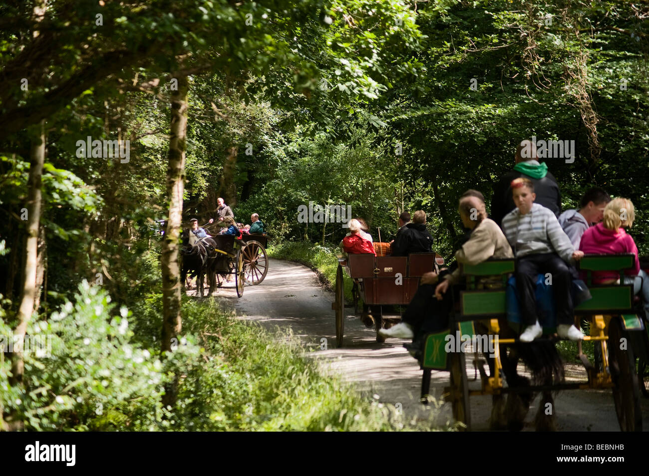 Muckross House, Co. Kerry, Irlanda Foto Stock