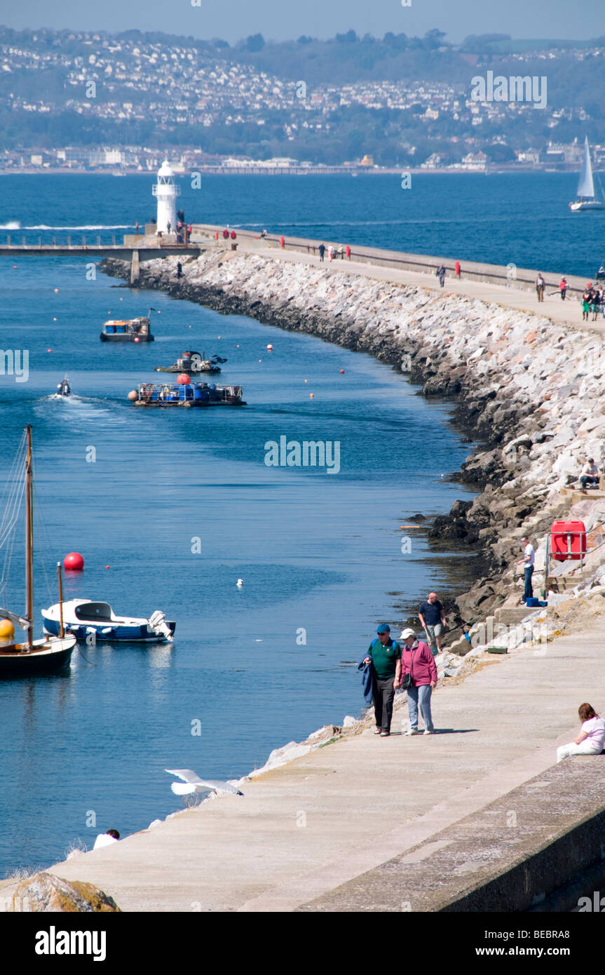 Struttura di frangionde e del faro, Brixham, Devon, Regno Unito Foto Stock