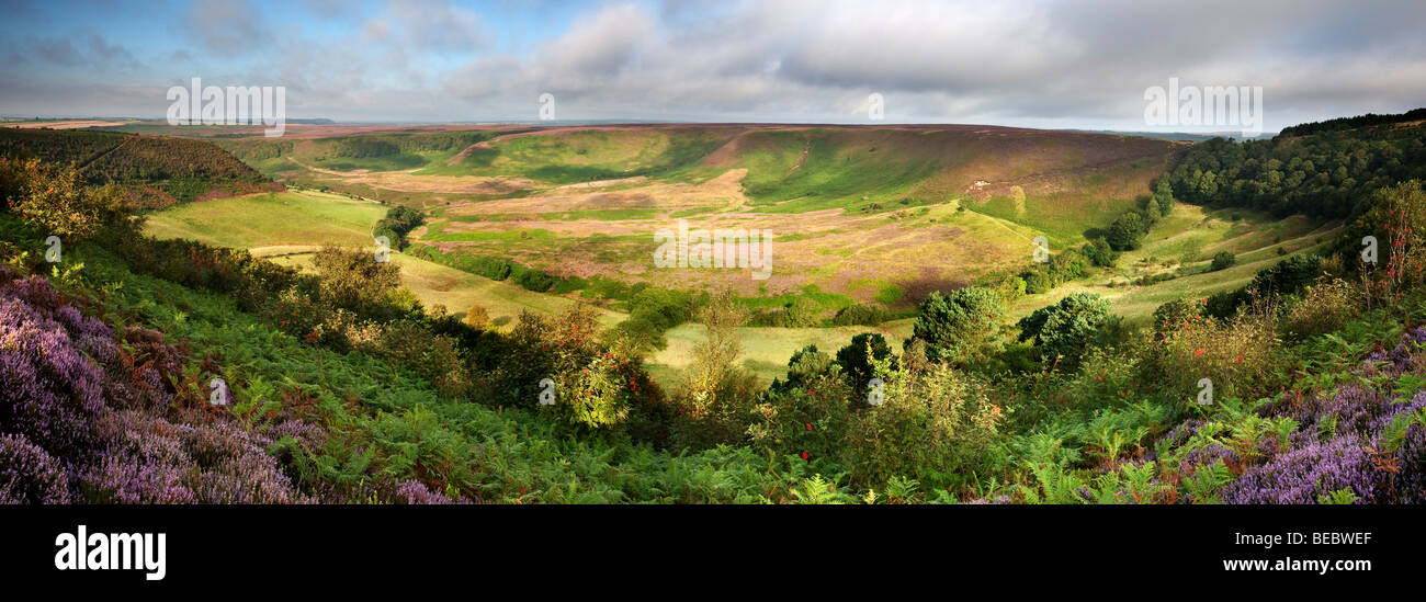 Foro di Horcum, Levisham Moor vicino a Pickering, North York Moors National Park Foto Stock