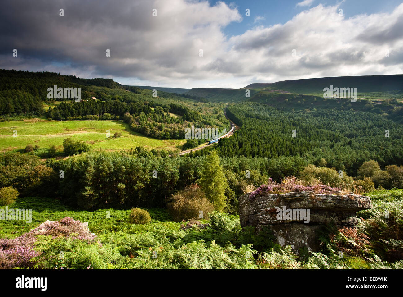 Newtondale da Levisham Moor, North York Moors National Park Foto Stock