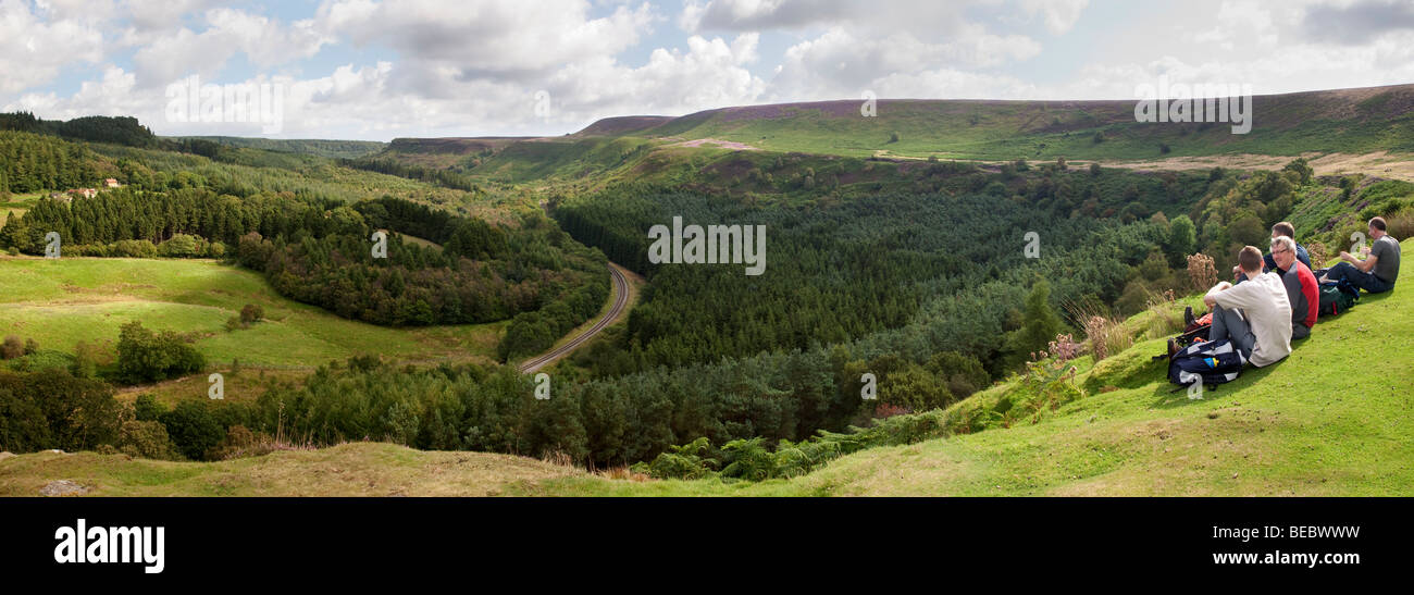 Newtondale da Levisham Moor, North York Moors National Park Foto Stock