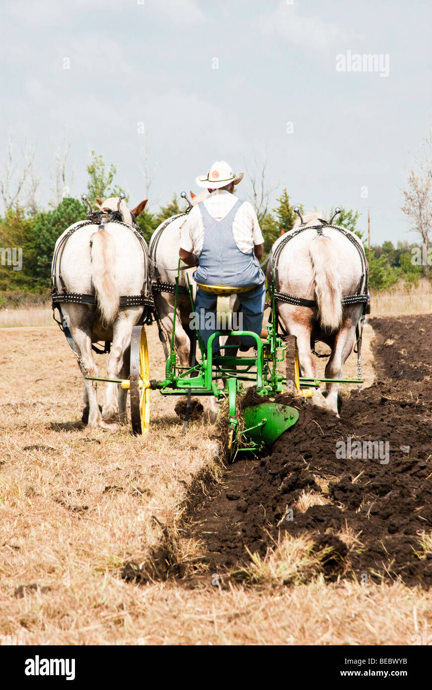 A cavallo dimostrazioni di allevamento durante il giorno Homesteader Harvest Festival al Beaver Creek Area Natura in Sud Dakota. Foto Stock