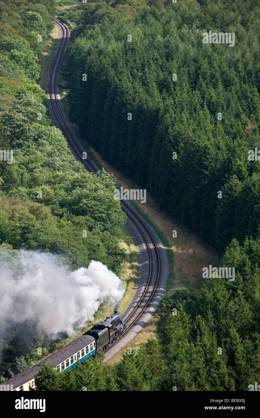 Motore a vapore in Newtondale da Levisham Moor, North York Moors National Park Foto Stock