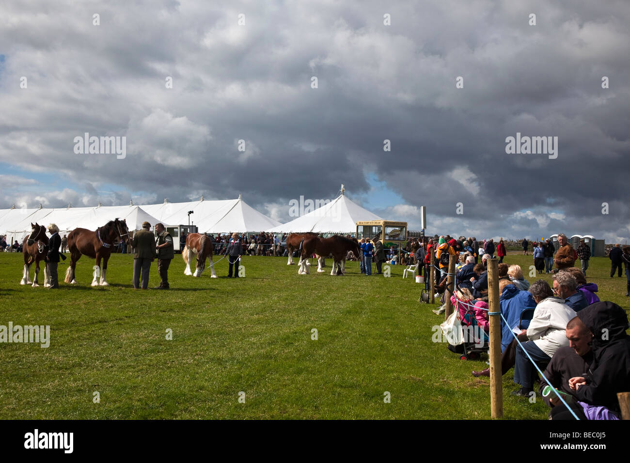 La mostra anello, Wensleydale Agricultural Show tenutosi all inizio di settembre nei pressi di Leyburn, North Yorkshire Foto Stock
