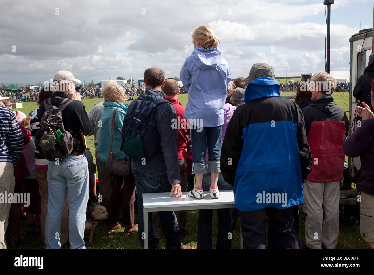 La mostra anello, Wensleydale Agrcultural Show tenutosi all inizio di settembre nei pressi di Leyburn, North Yorkshire Foto Stock