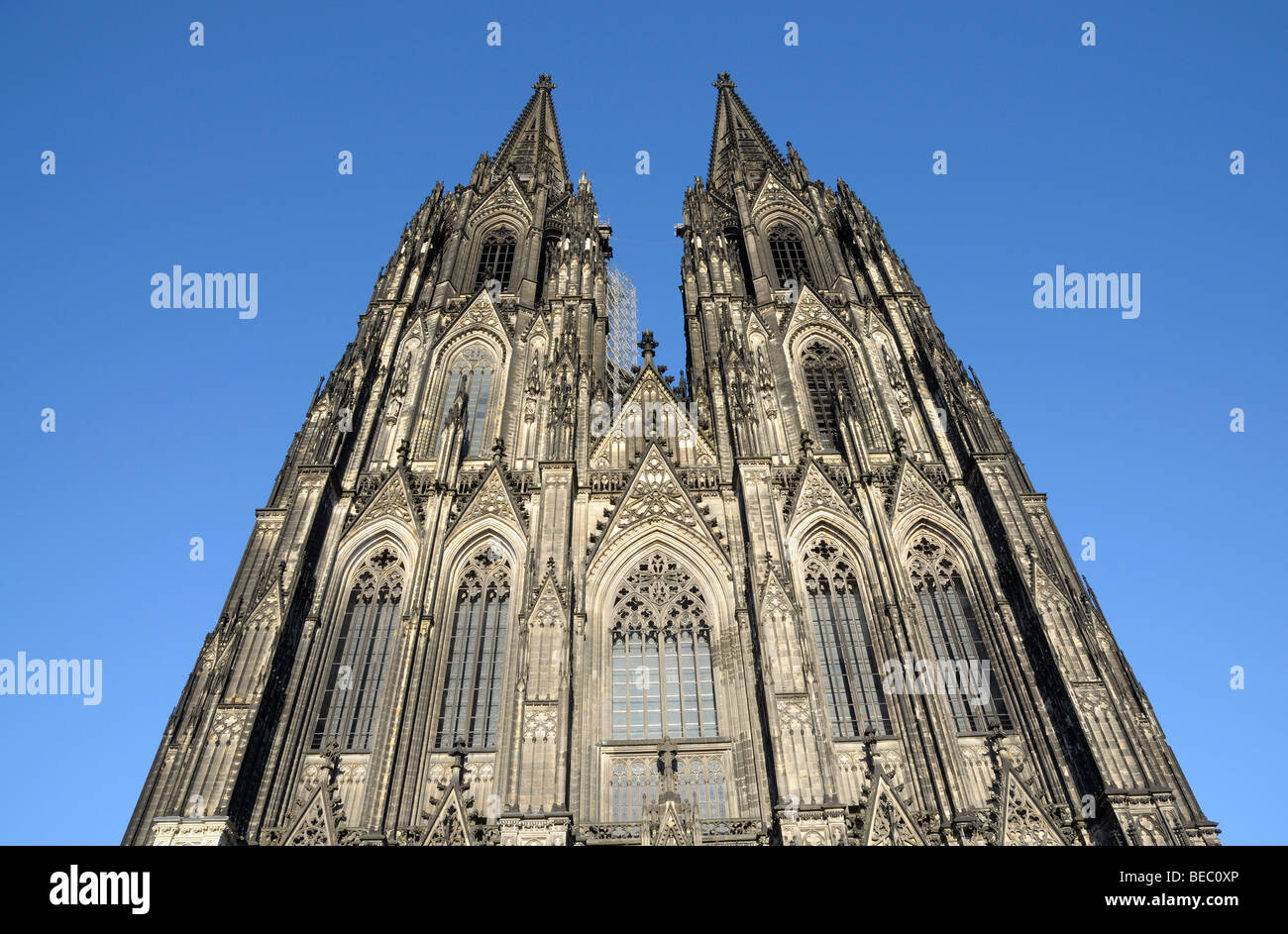 La cattedrale di Colonia, Germania Foto Stock