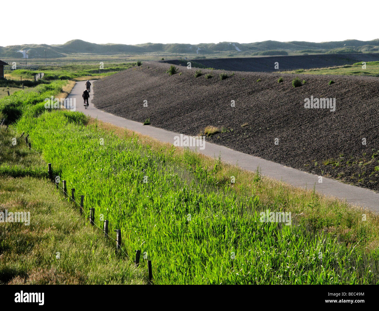 Ciclisti su un percorso a fianco di Dyke parete Amrum Germania Foto Stock