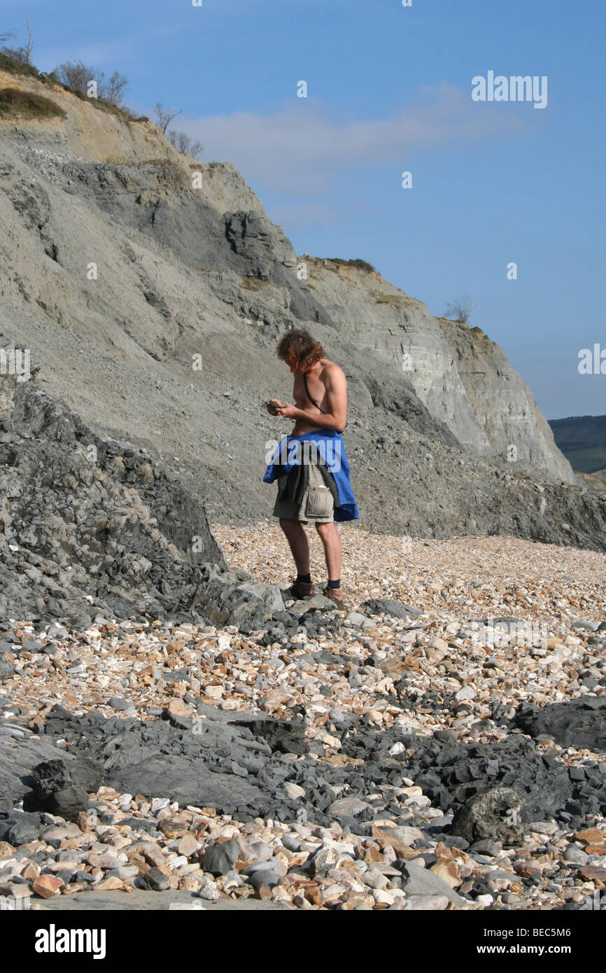 A caccia di fossili di seguito Charmouth scogliere. Foto Stock