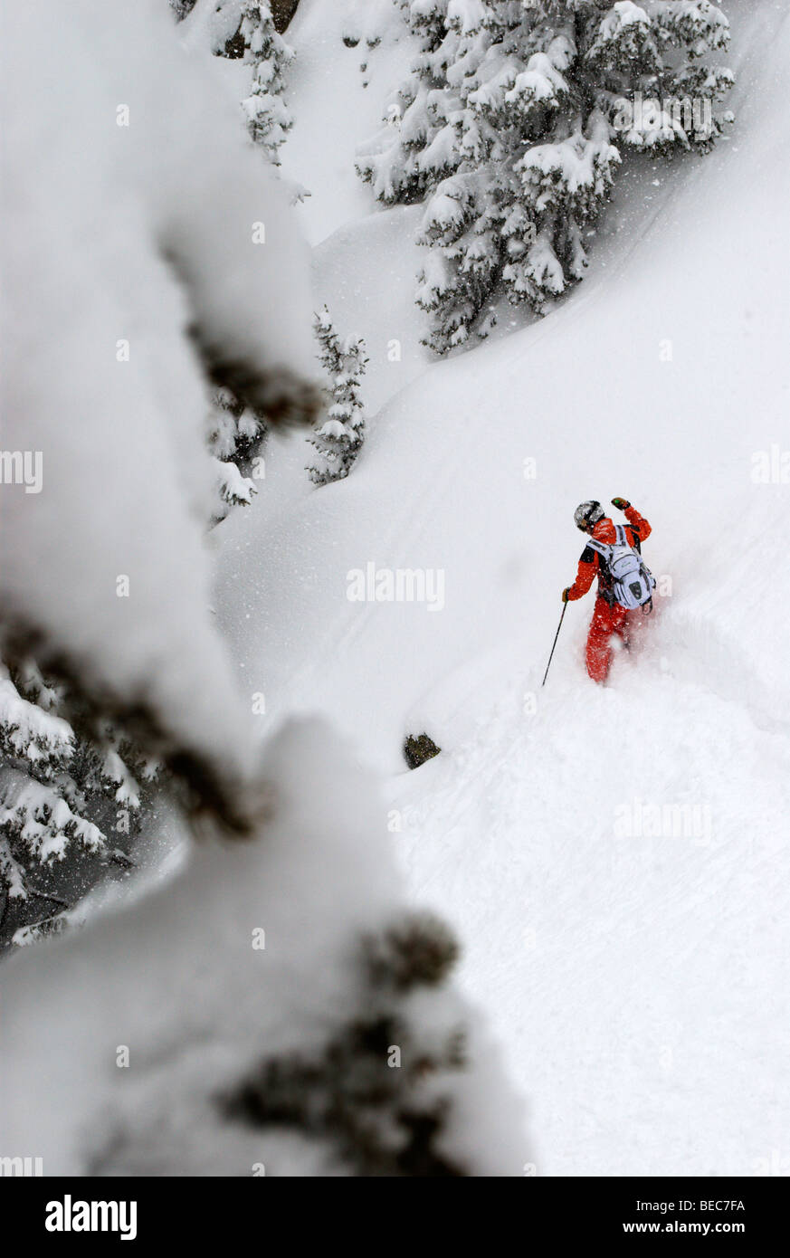 Sciatore in i sentieri della foresta su una polvere giorno, Chamonix, Francia Foto Stock