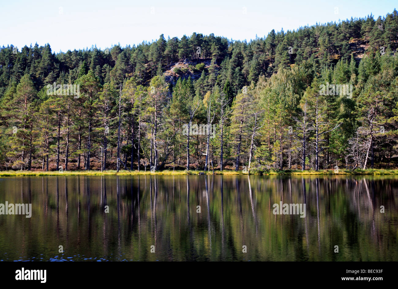 Riflessioni in Uath Lochan, vicino a Aviemore, Inverness-shire, Scotland, Regno Unito. Foto Stock